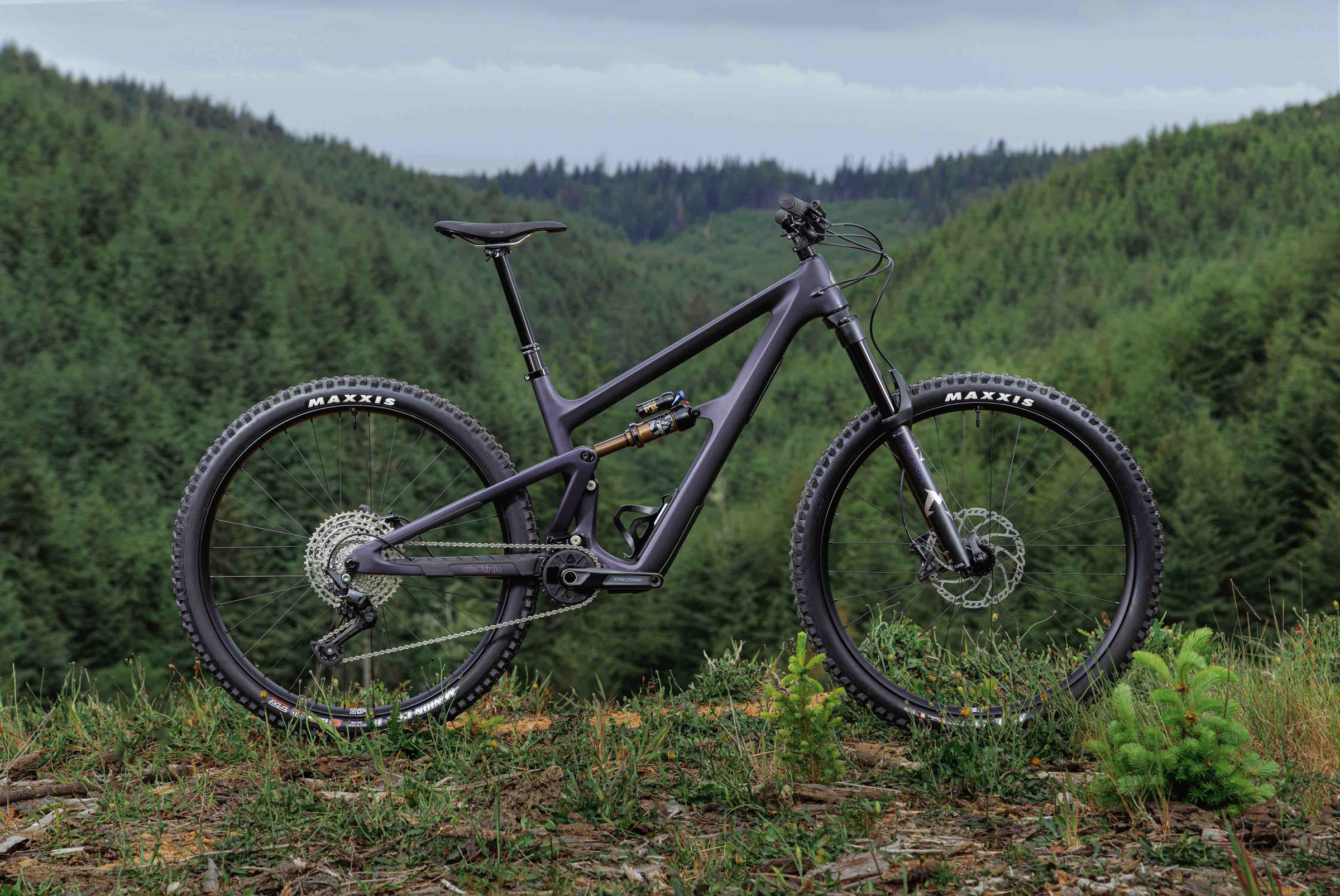 Ibis Ripmo