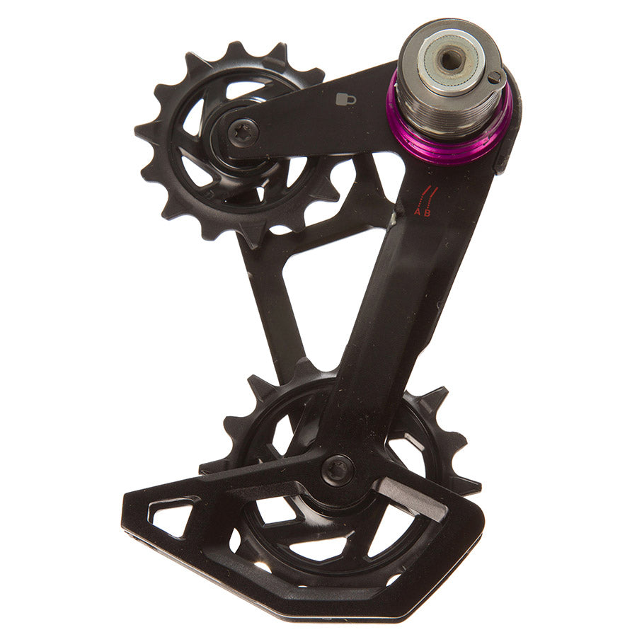 SRAM, Cage for GX Eagle T-Type