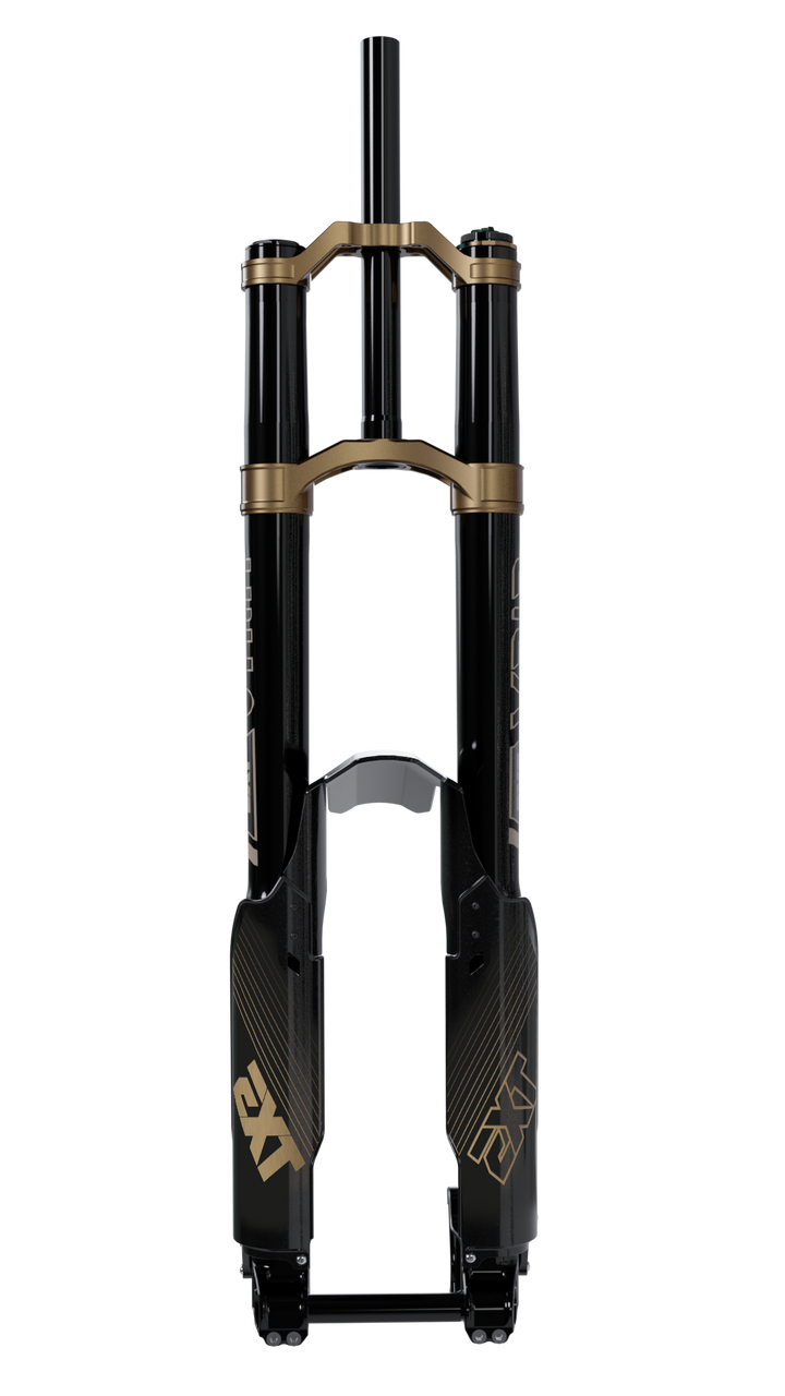 EXT Vaia DH/Enduro Fork