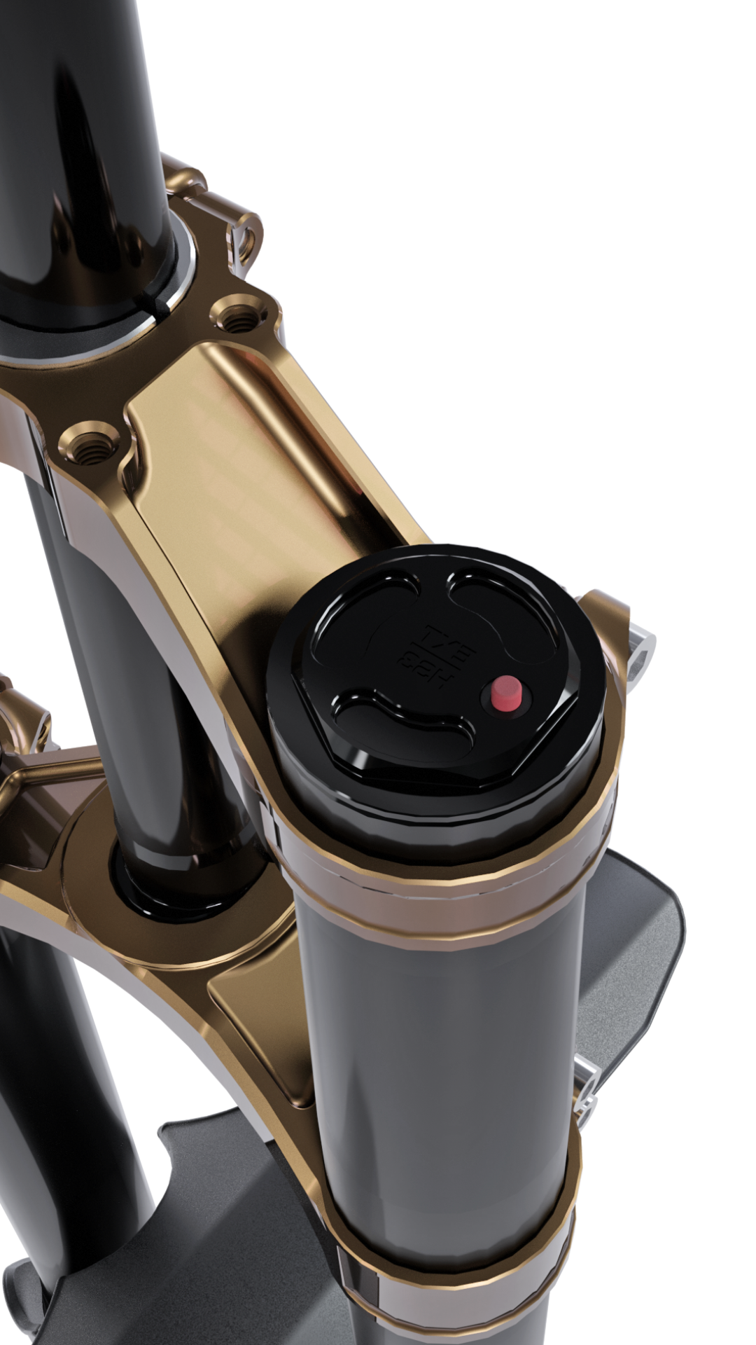 EXT Vaia DH/Enduro Fork