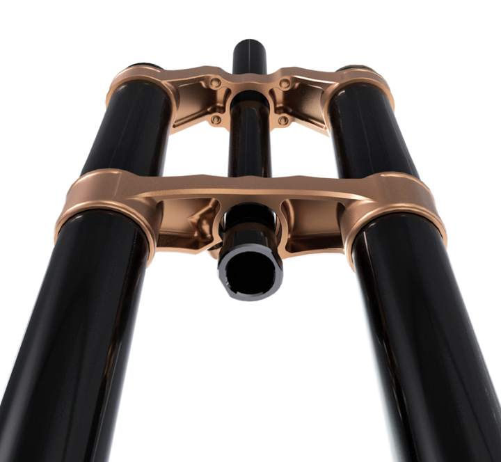 EXT Vaia DH/Enduro Fork