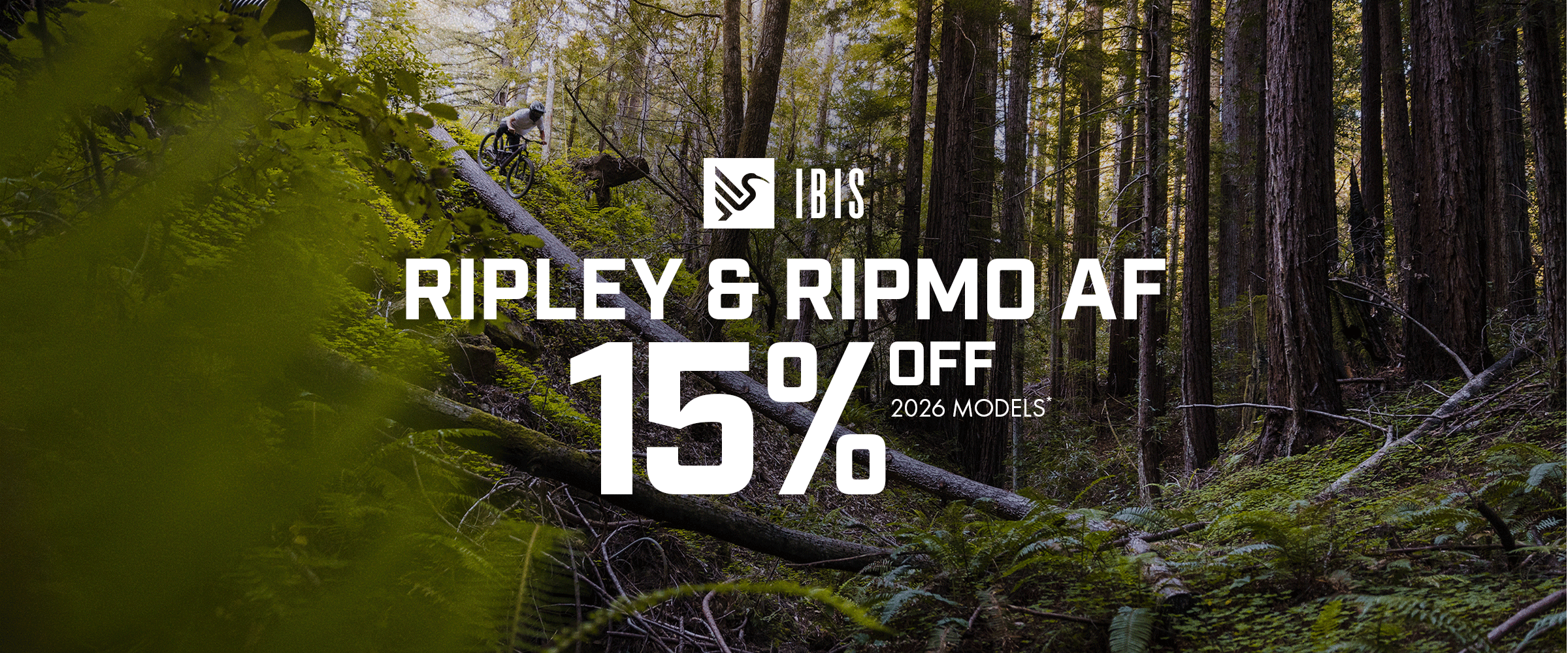 Ibis sale