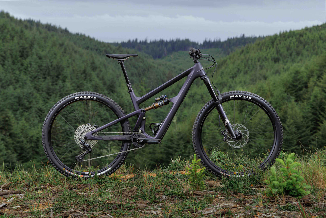 Ibis Ripmo
