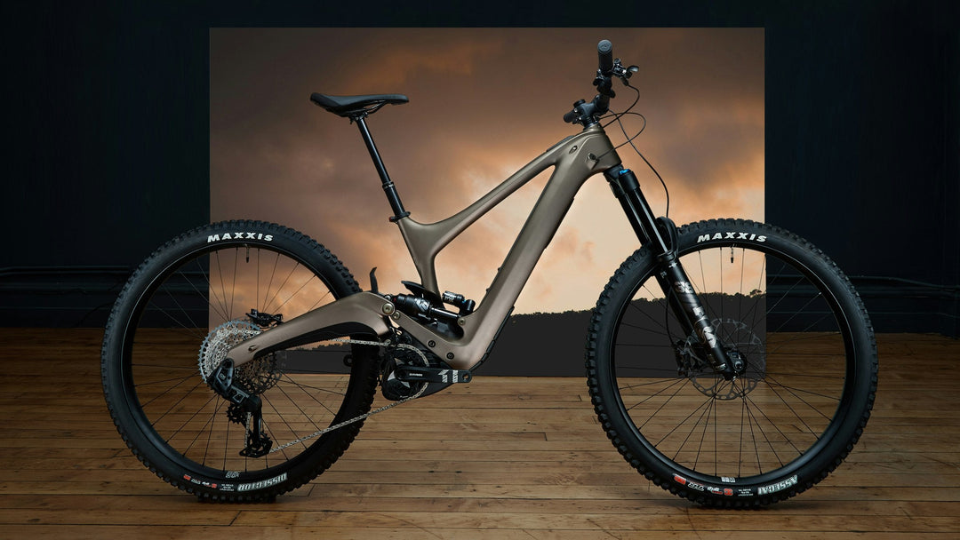 Ibis Oso