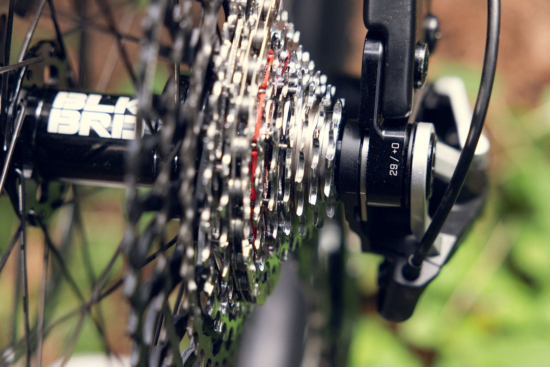 Ibis Oso TR