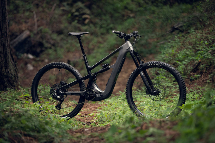 Ibis Oso TR