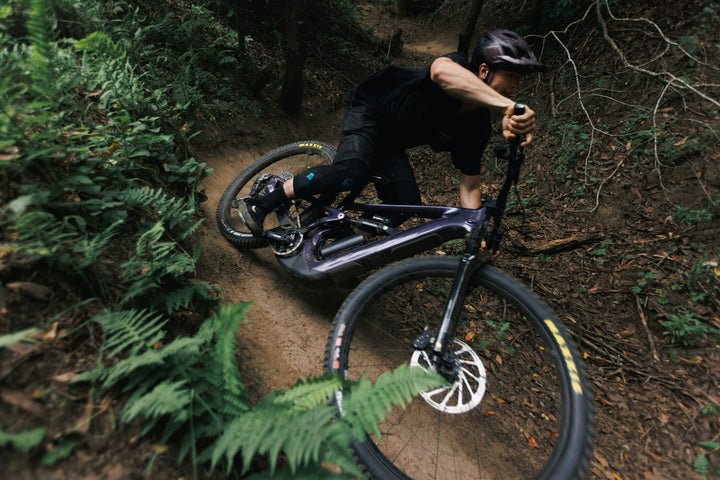 Ibis Oso TR