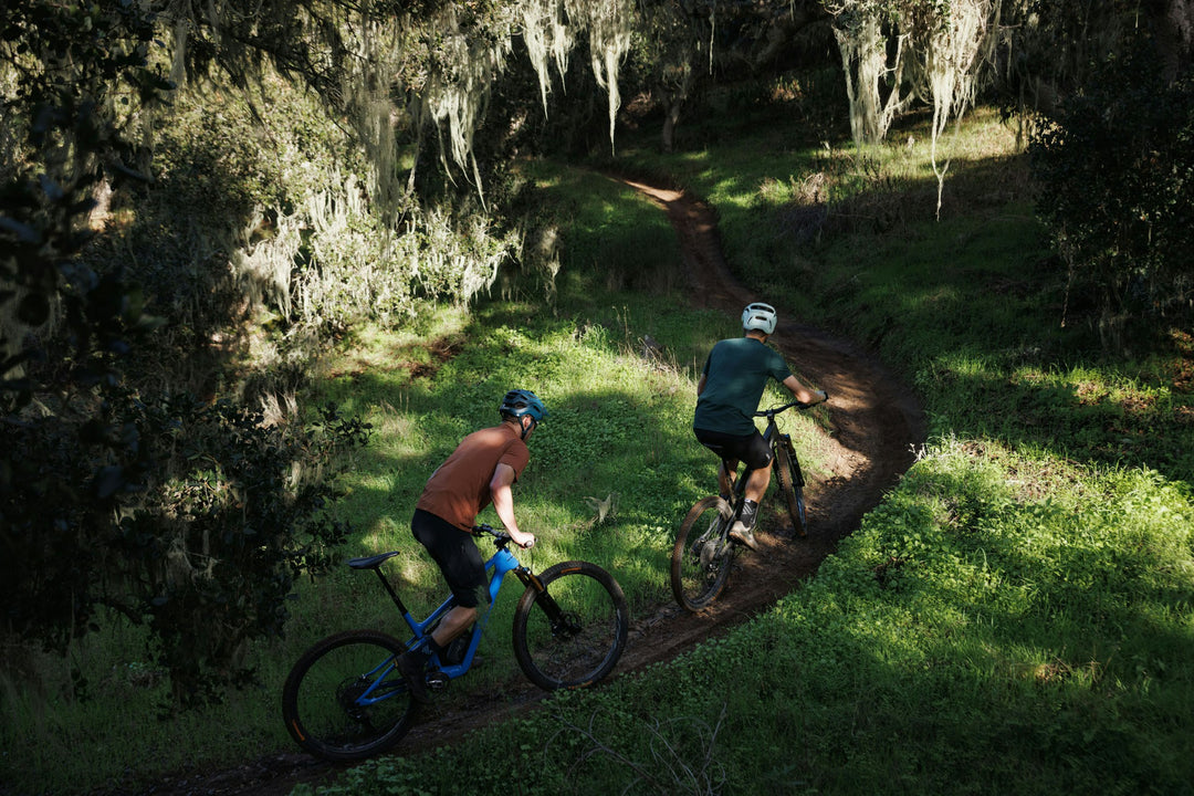 Ibis Ripley SL