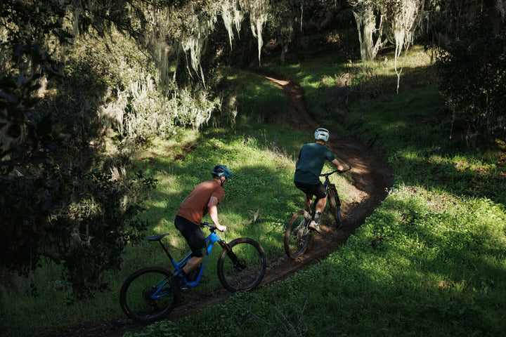 Ibis Ripley SL