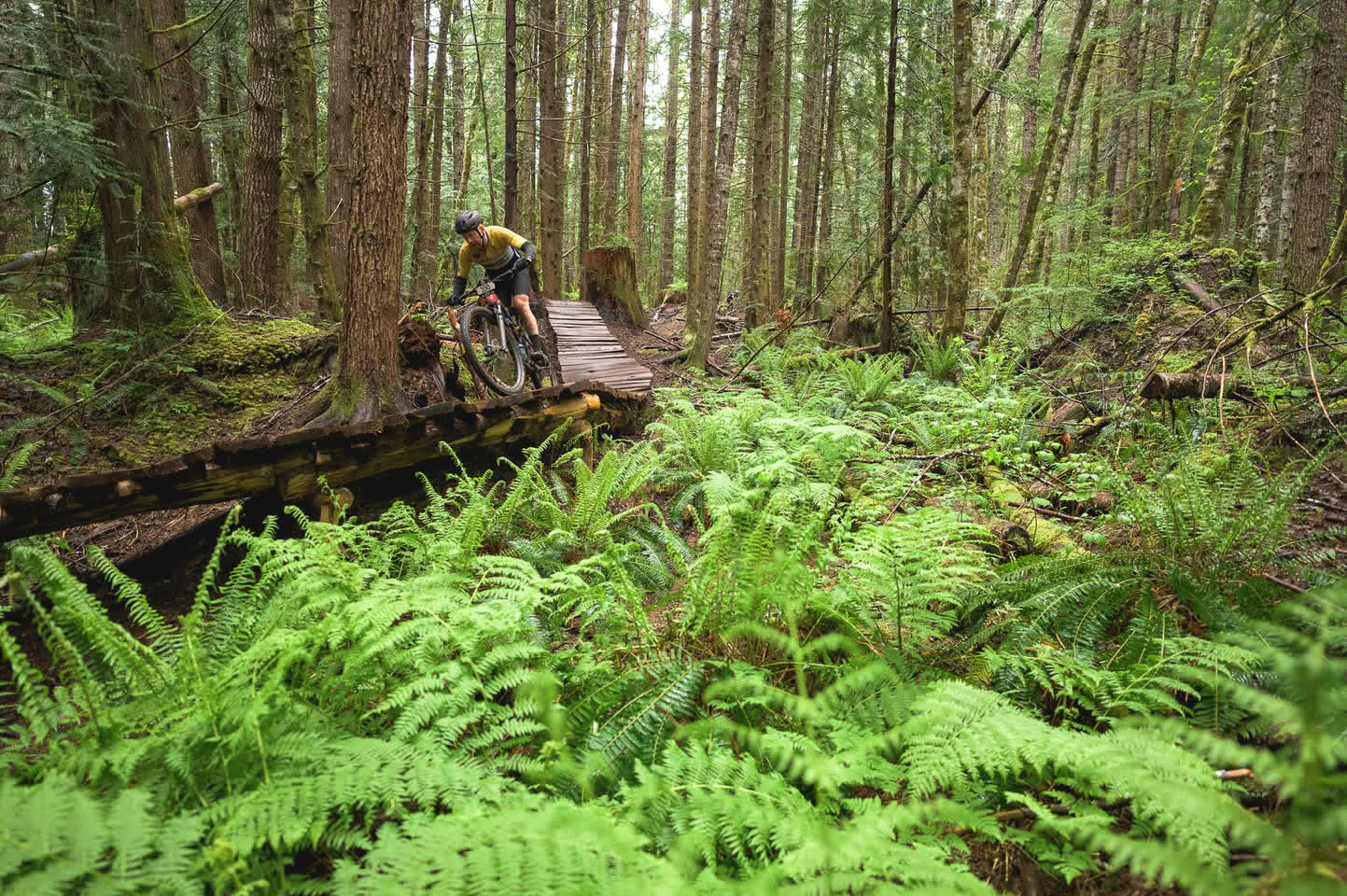 Ride more.