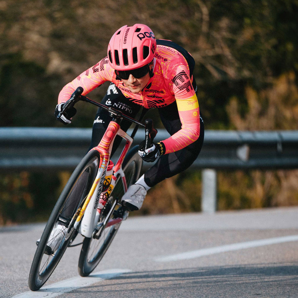 Road Bikes