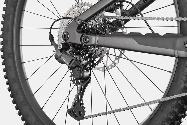 Cannondale Moterra 3