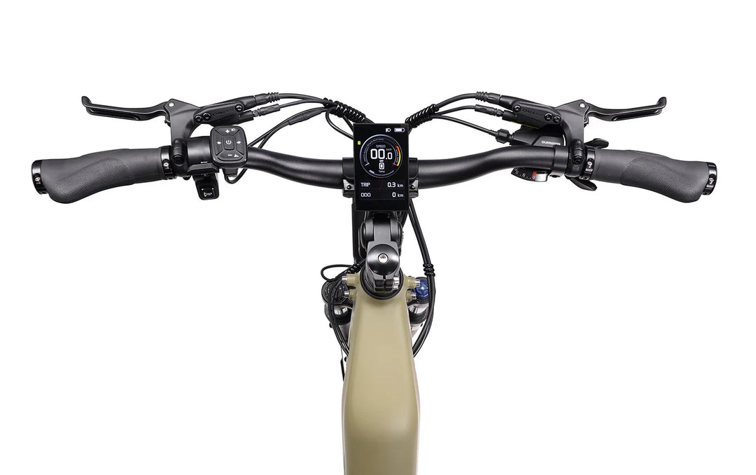 Maui Electric City Bike Bronte