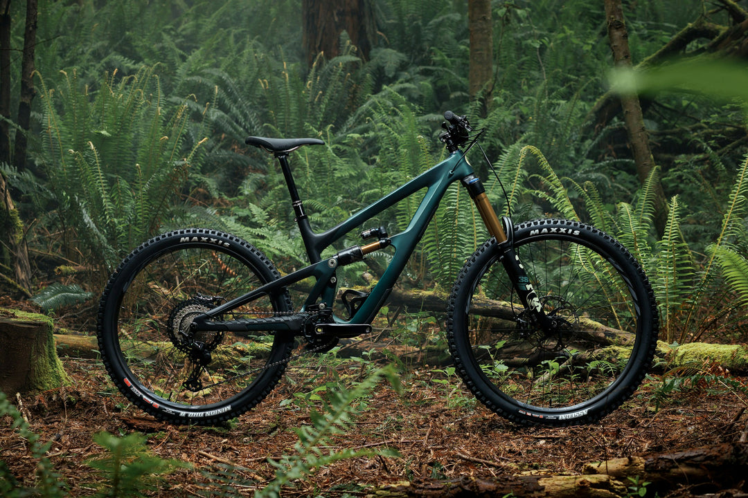 Ibis HD6