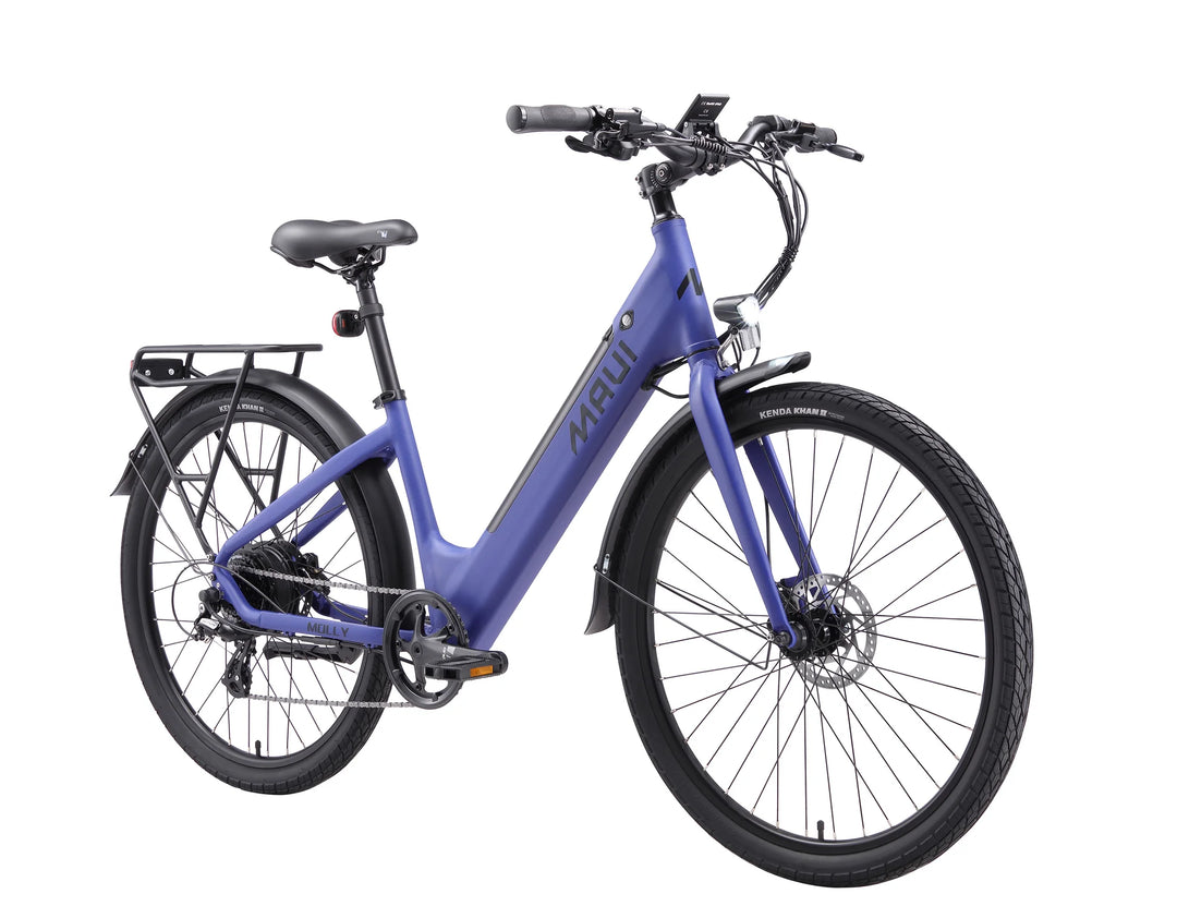 Maui Molly E Bike
