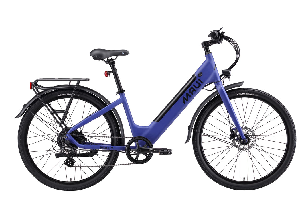 Maui Molly E Bike