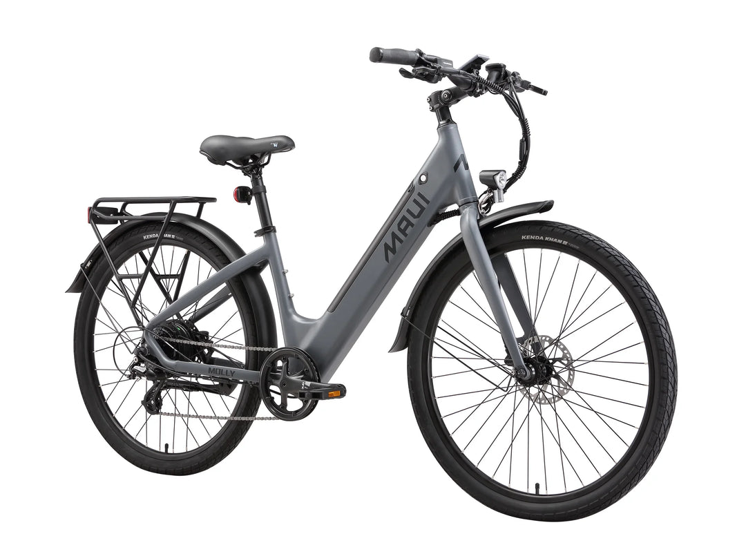 Maui Molly E Bike