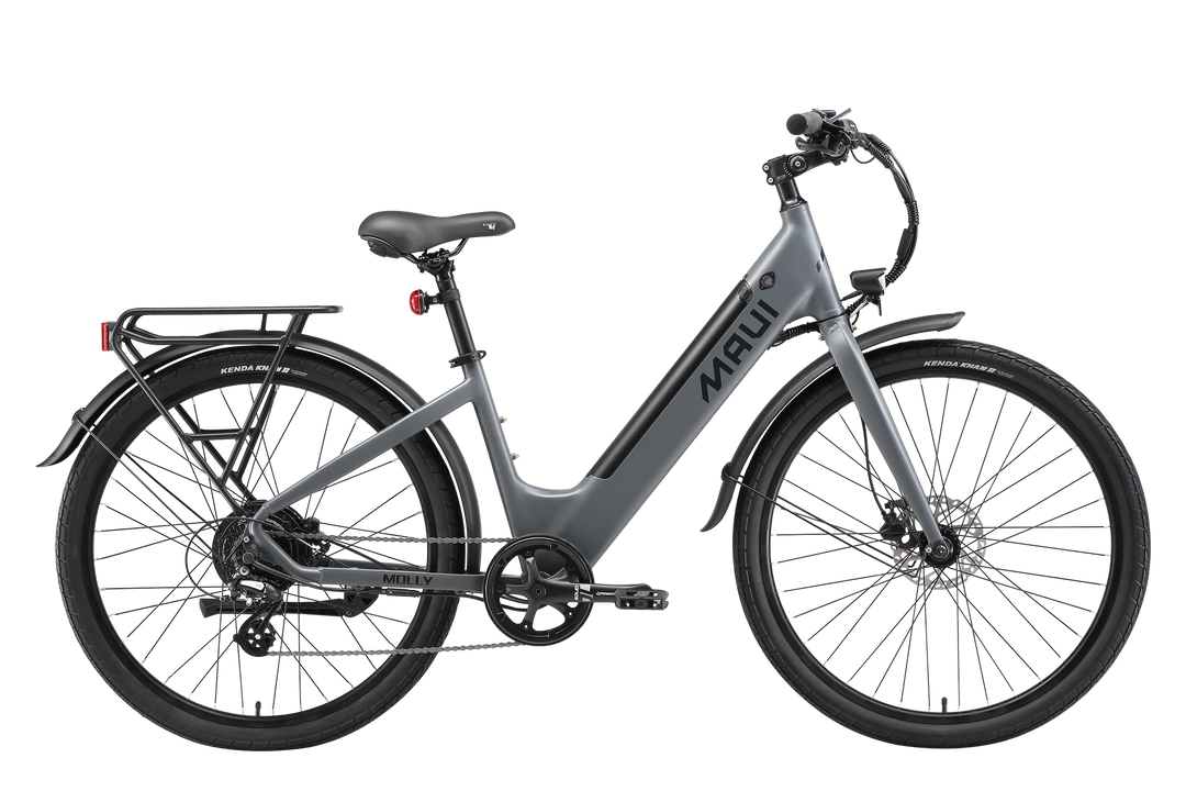 Maui Molly E Bike