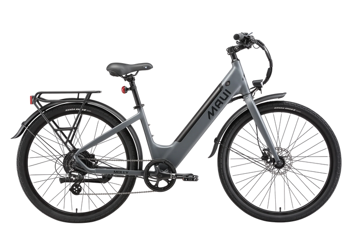 Maui Molly E Bike