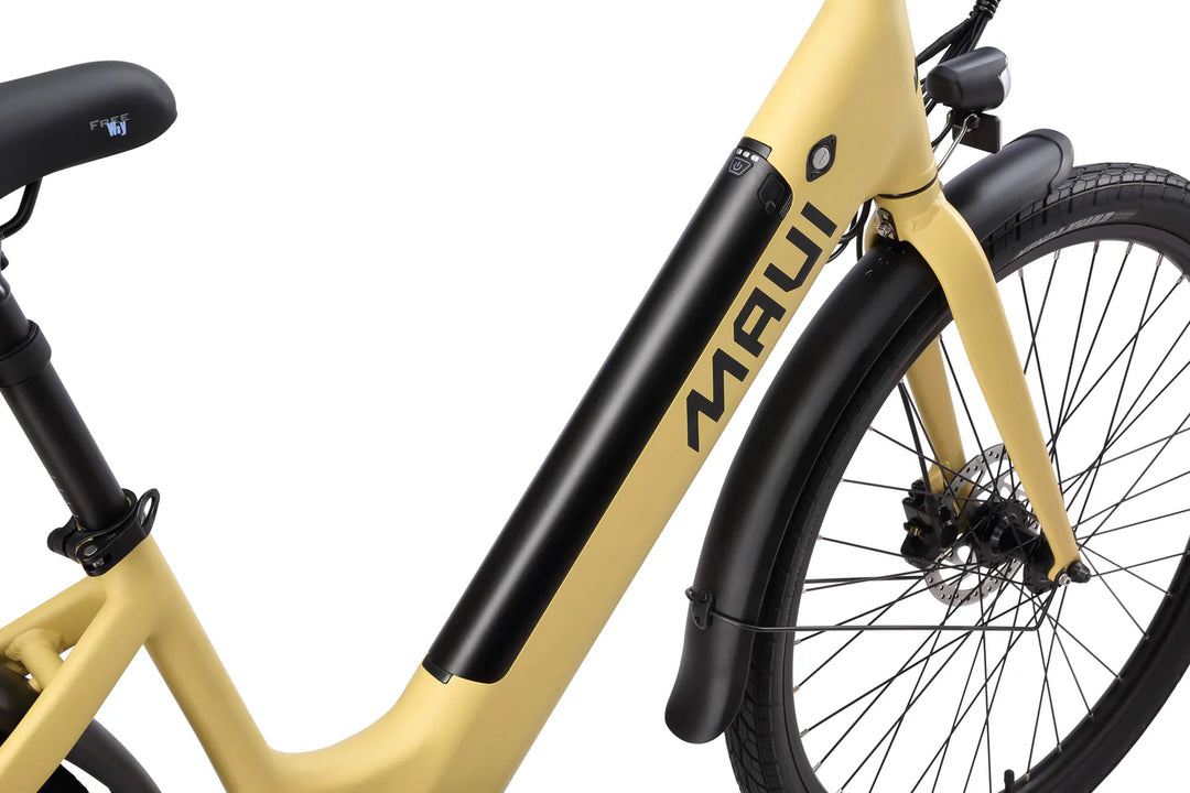 Maui Molly E Bike