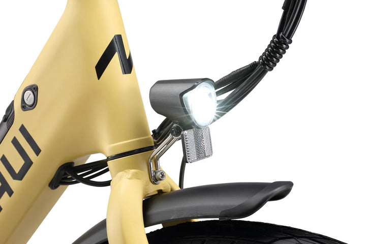 Maui Molly E Bike