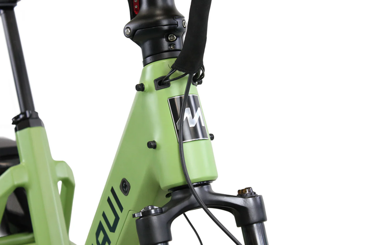 MAUI CARGO Step-Thru eBike