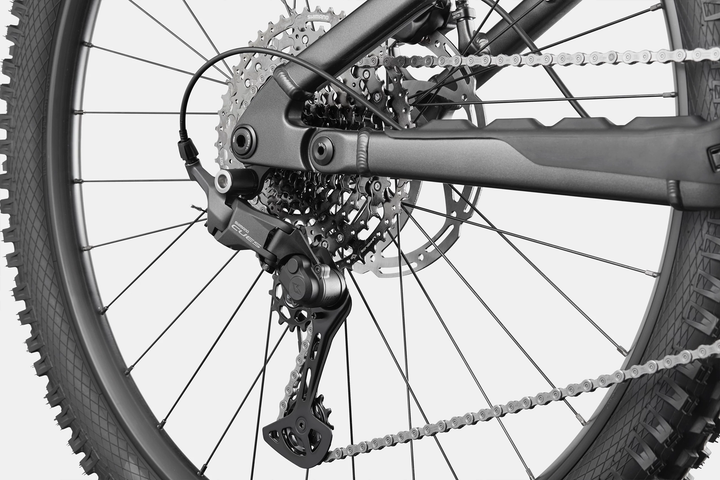 Cannondale Moterra 4 +