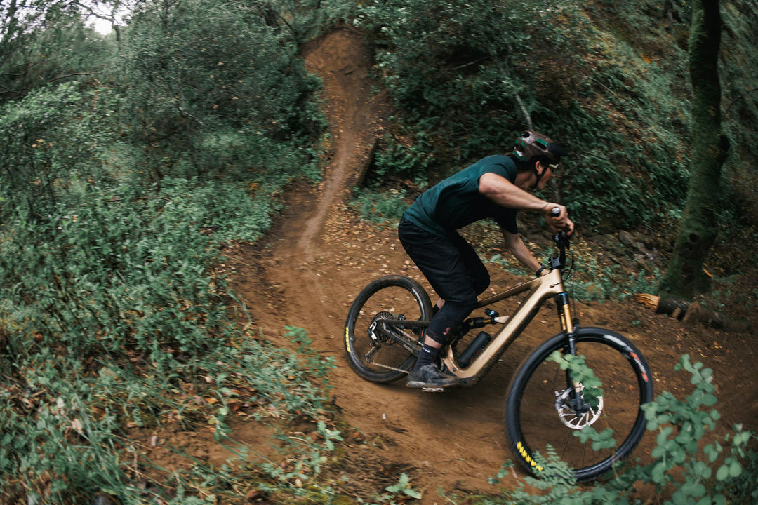 Ibis Oso HD