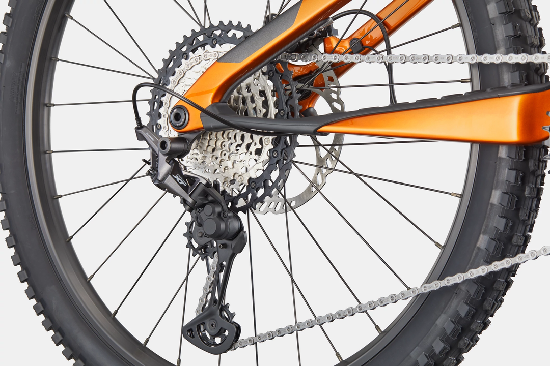 Cannondale Moterra SL 2