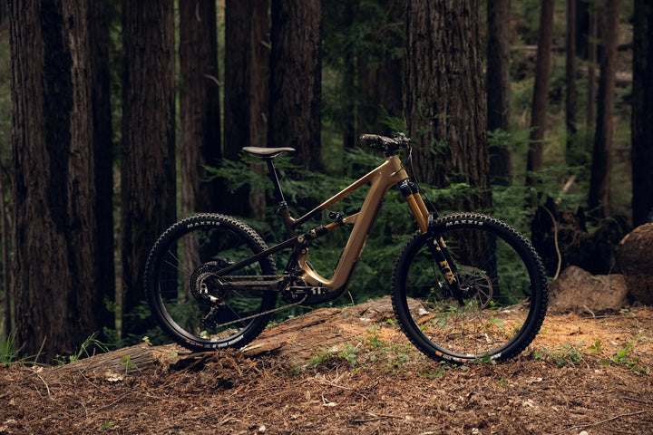 Ibis Oso HD
