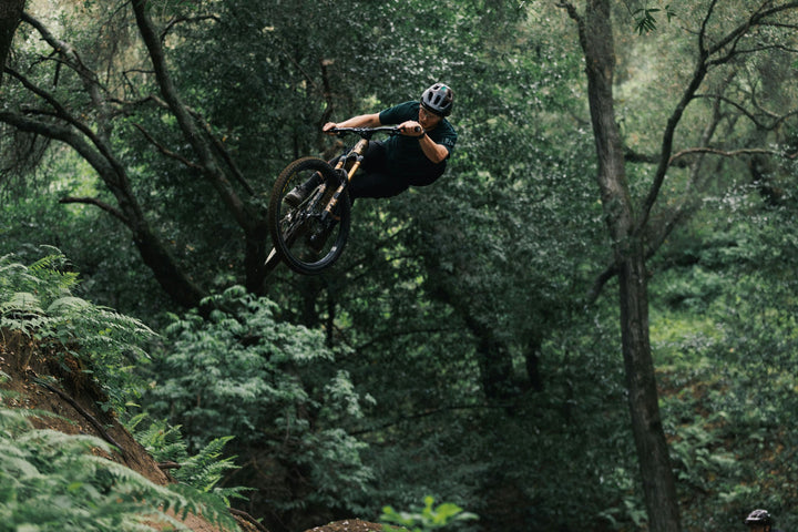 Ibis Oso HD