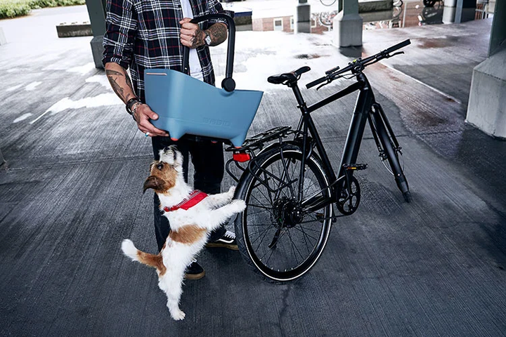 BASIL Buddy Dog Basket - Blue